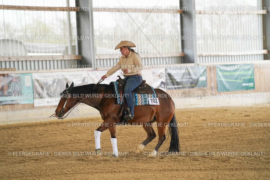 DSC07053 | Pferdegrafie