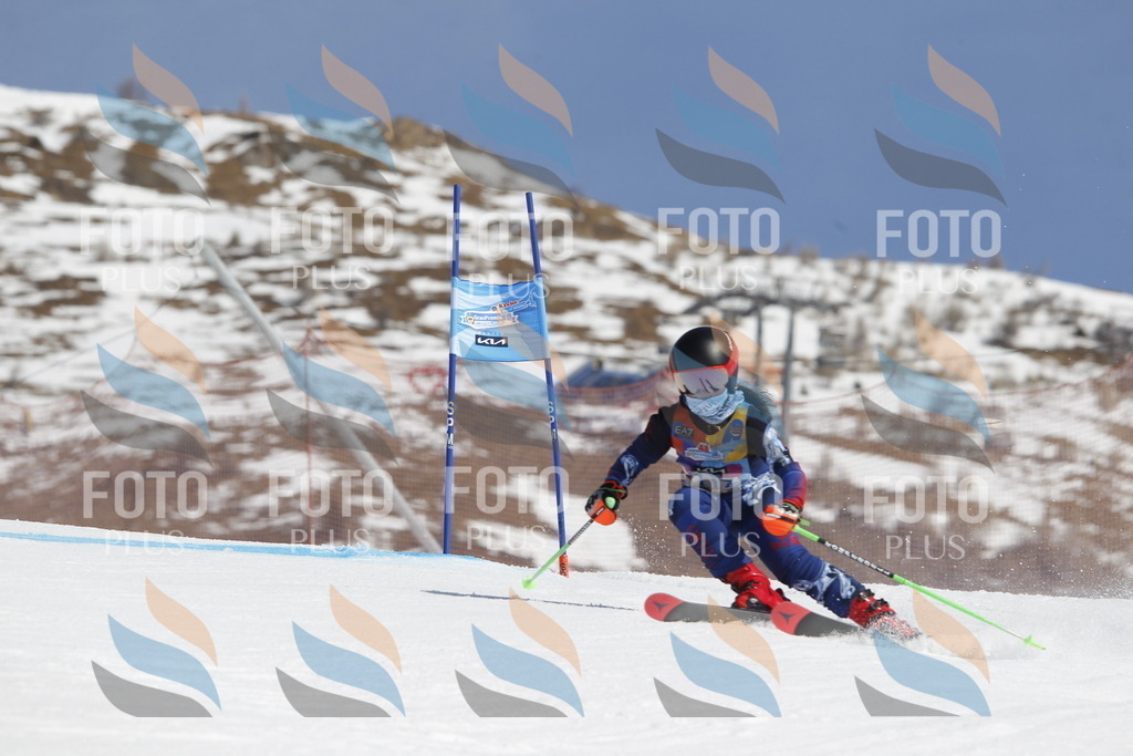 _U3G0641 | holidayphoto