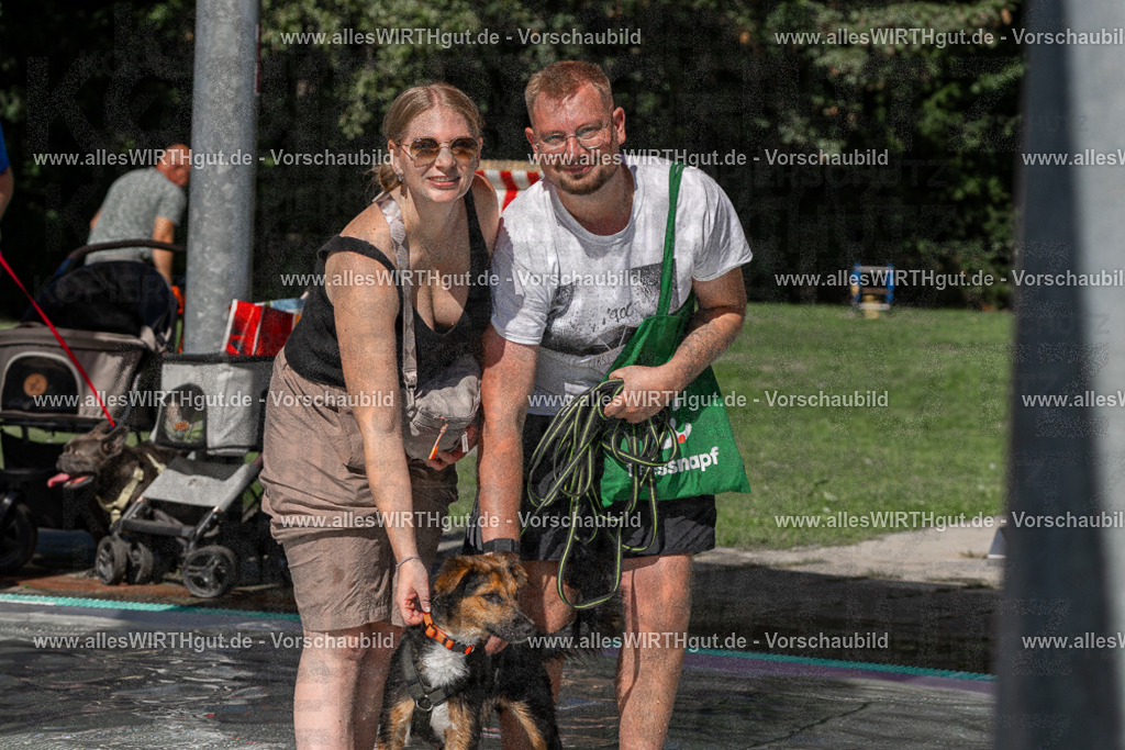 Hundeschwimmen_Volksbad_2026-allesWIRTHgut_Tierfotografie-2609061359-FAY06860 | Professionelle Tierfotografie in Mönchengladbach von Daniel Wirth (allesWIRTHgut). Liebevolle & natürliche Bilder von Hunden & Katzen für unvergessliche Erinnerungen.