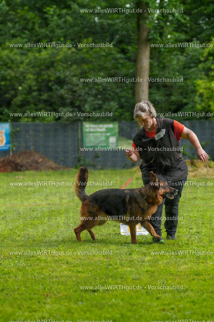 @allesWIRTHgut_Tierfotografie - www.allesWIRTHgut.de - 7R502503 | Professionelle Tierfotografie in Mönchengladbach von Daniel Wirth (allesWIRTHgut). Liebevolle & natürliche Bilder von Hunden & Katzen für unvergessliche Erinnerungen.