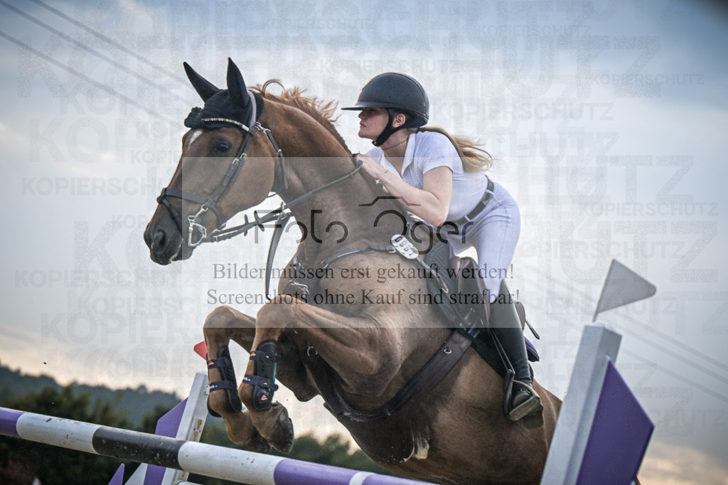 DOS_3026 | Entdecke hochwertige Reitturnierfotos von Foto Oger. Professionell, emotional und authentisch – jetzt Lieblingsmomente im Shop bestellen.Deutschlandweite Turnierfotografie. - Realisiert mit Pictrs.com