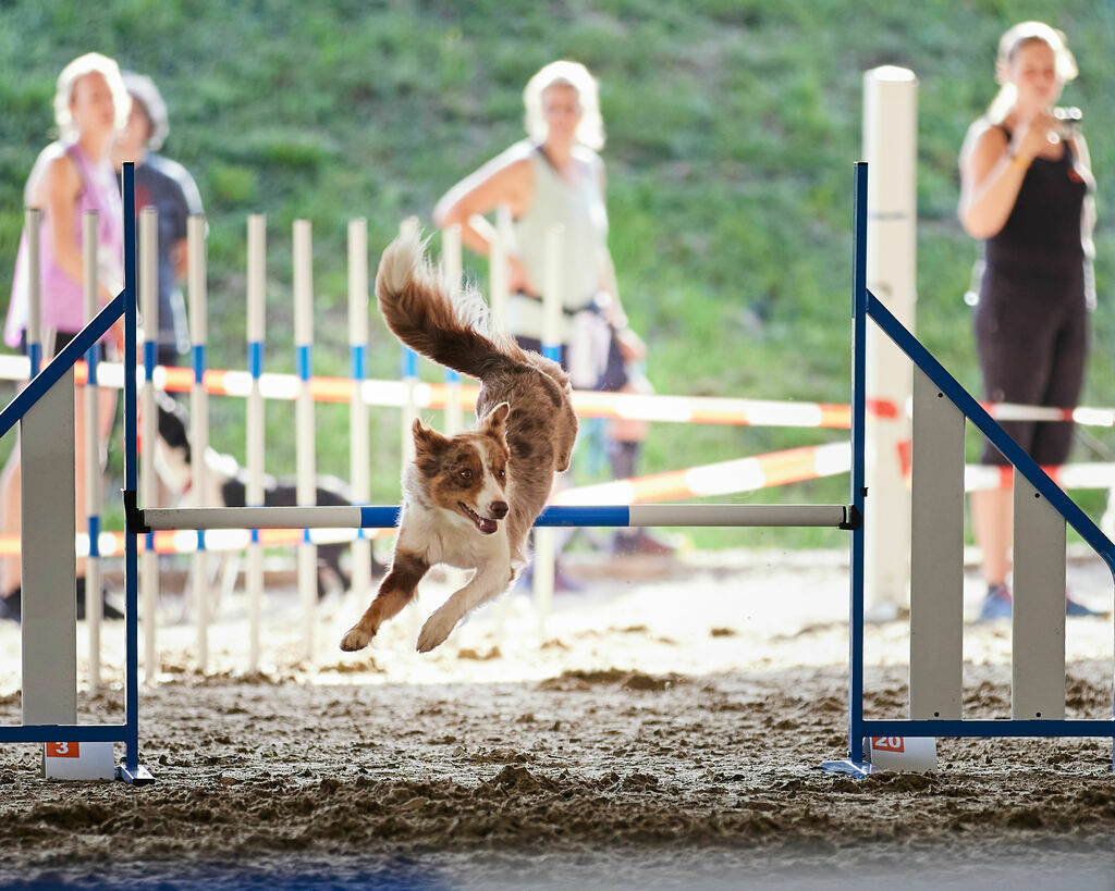 580A0035 | Peter Fridle Fotografie - Realisiert mit Pictrs.com