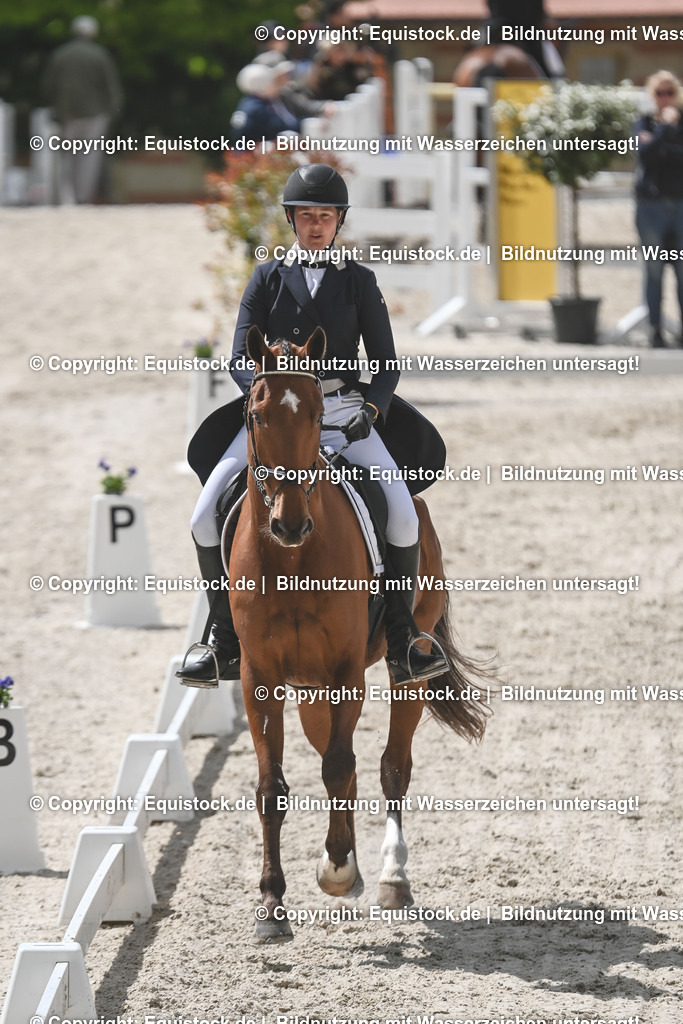 20250516_CCI2_Dressur_0320 | Foto: Thomas Hartig