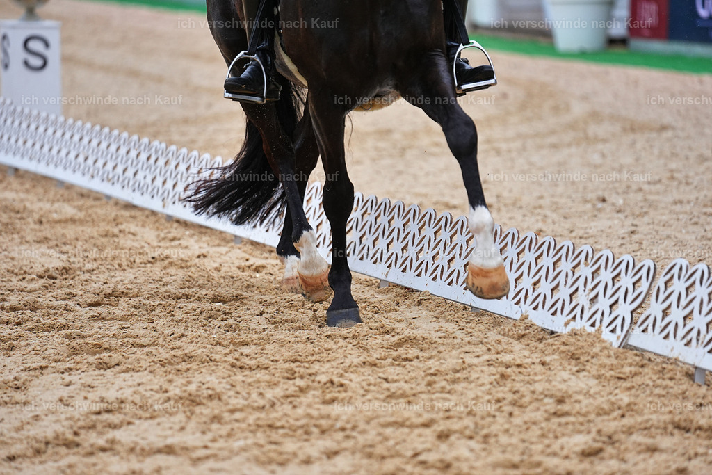 8_1-212-Klasse S_  -Marixx-4266 | working equitationturnier fotograf videograf stoibphotography marixx film working equitation deutschland reitsport turnierfotografie eventfotografie equestrian events