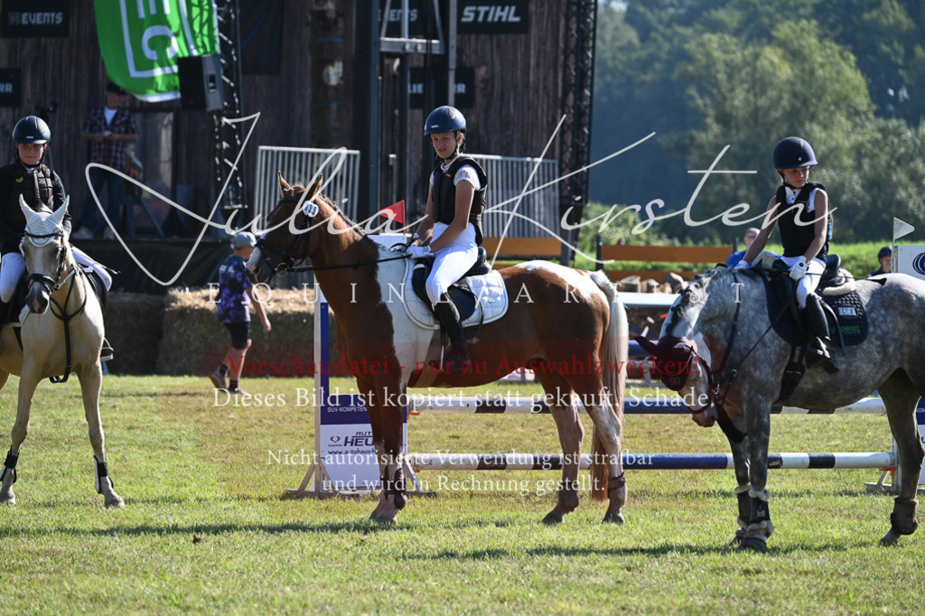DSC_5359 | Pferde- und Turnierfotografie in Westsachsen. Pferdeportraits, Auftragszeichnungen und intuitive Kunst.