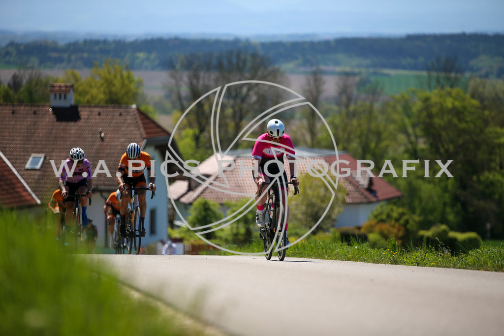 ..... | Wels, 23.04.2026, Kirschblüten Radrennen 2026 , Image shows: Photo: Wapics / Willdoner Andreas