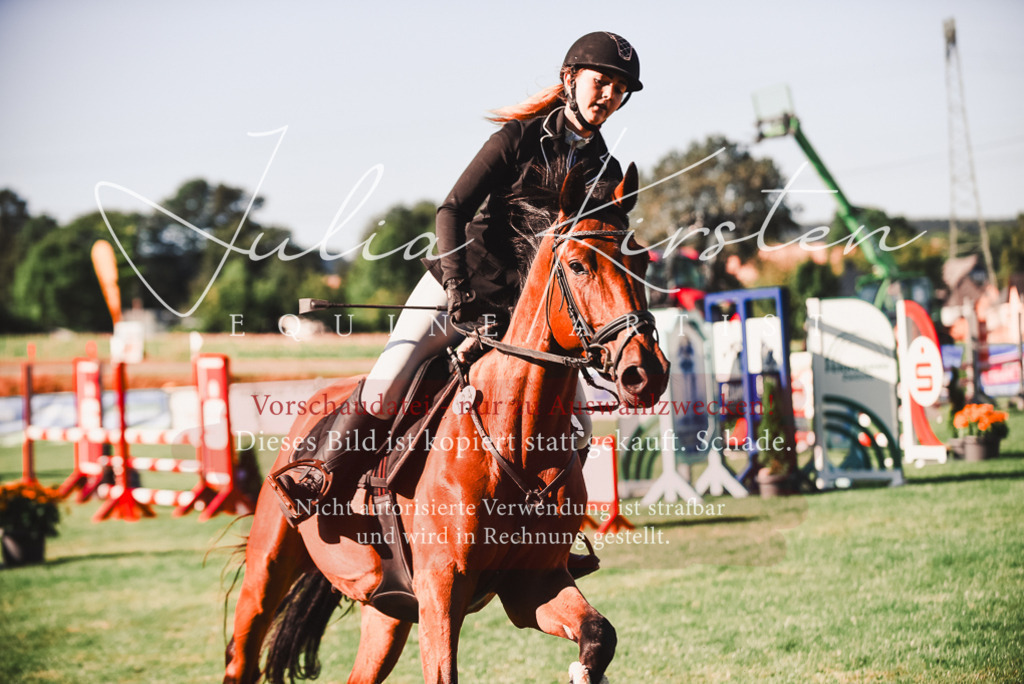 DSC_2232 | Pferde- und Turnierfotografie in Westsachsen. Pferdeportraits, Auftragszeichnungen und intuitive Kunst.