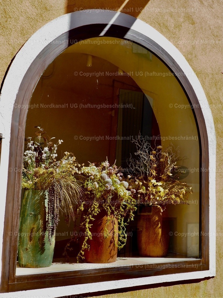 IMG_3029 | OLYMPUS DIGITAL CAMERA          - Realisiert mit Pictrs.com