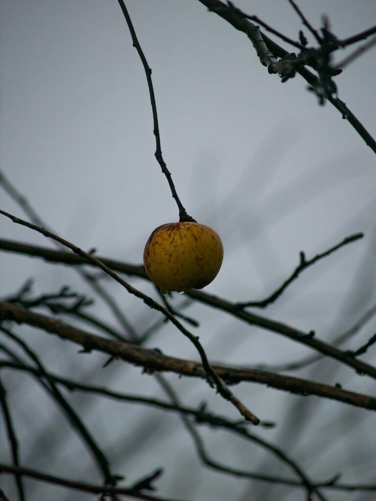 PSX_20221204_230948 | mtkfoto_ - Realisiert mit Pictrs.com