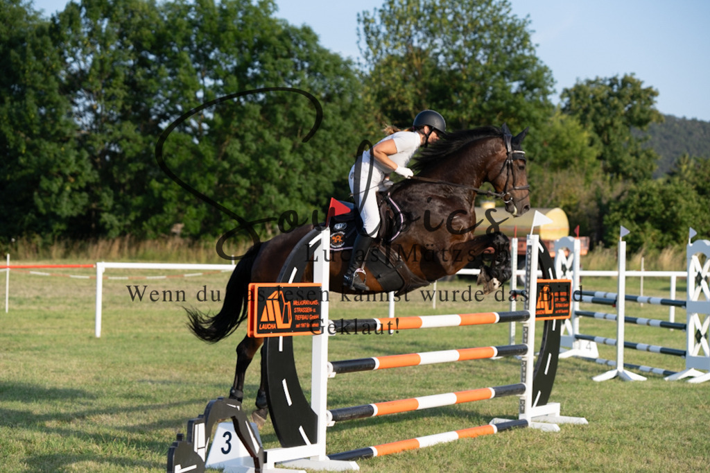 A7V01057 | Pferdefotograf