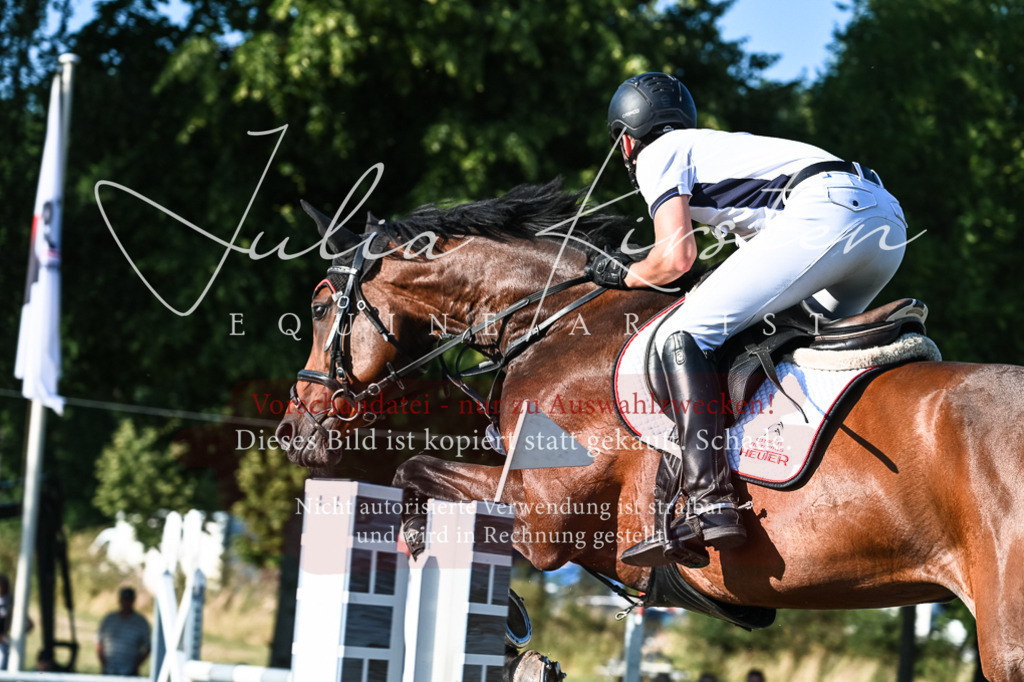 DSC_3070 | Pferde- und Turnierfotografie in Westsachsen. Pferdeportraits, Auftragszeichnungen und intuitive Kunst.
