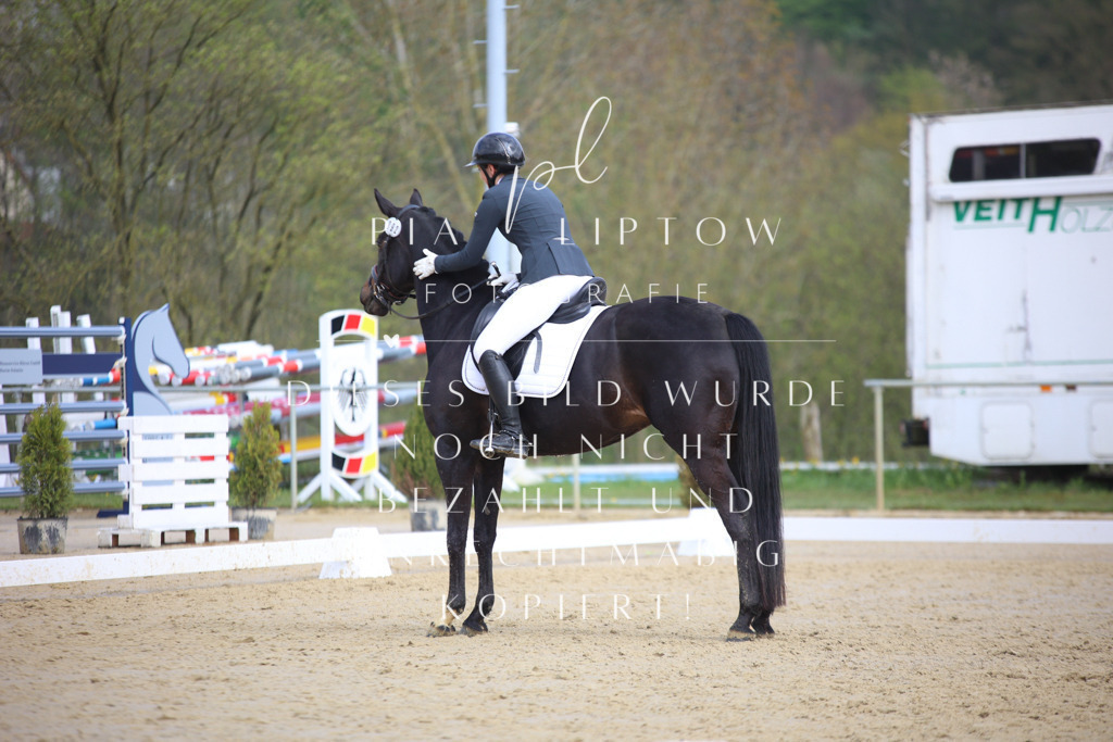 IMGT6435 | pl-fotografie