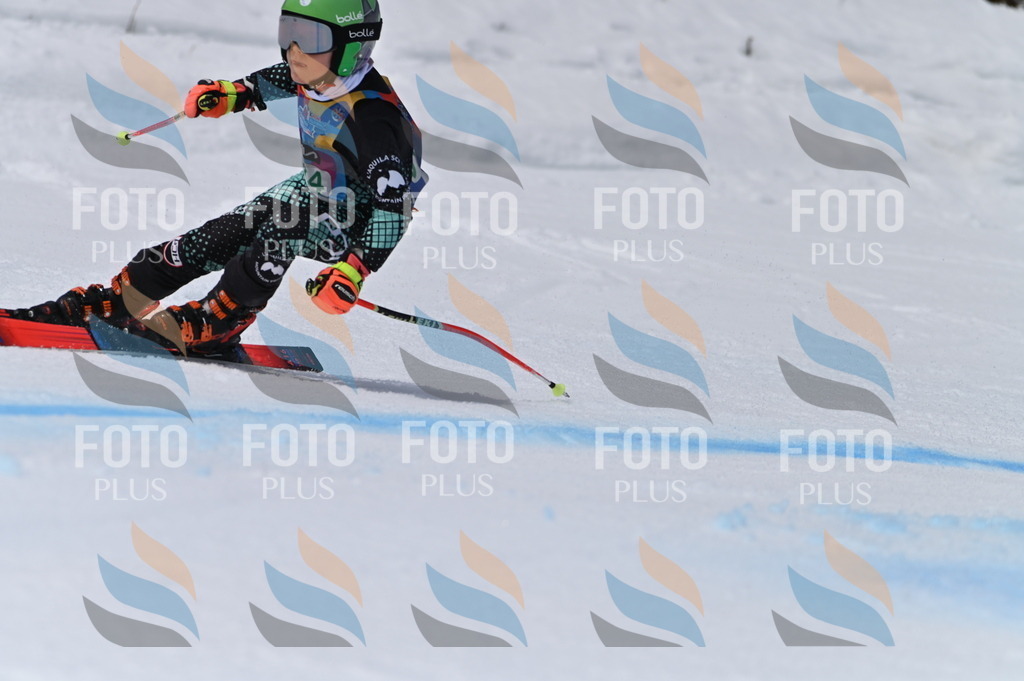 BGV_5251 | holidayphoto