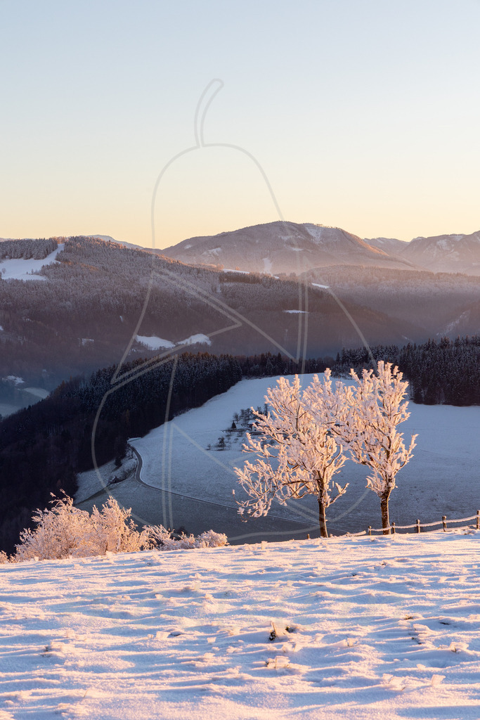 Winter am Hochkogelberg Rauhreif | Ihre Fotografin im Lungau, ihre Fotografin im Mostviertel, Wandbilder Onlineshop, Imagefotos für Ihr Unternehmen,  - Realisiert mit Pictrs.com