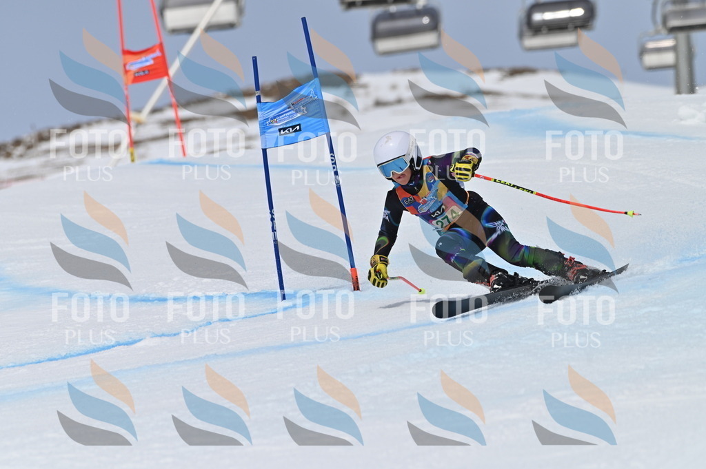 BGV_5432 | holidayphoto