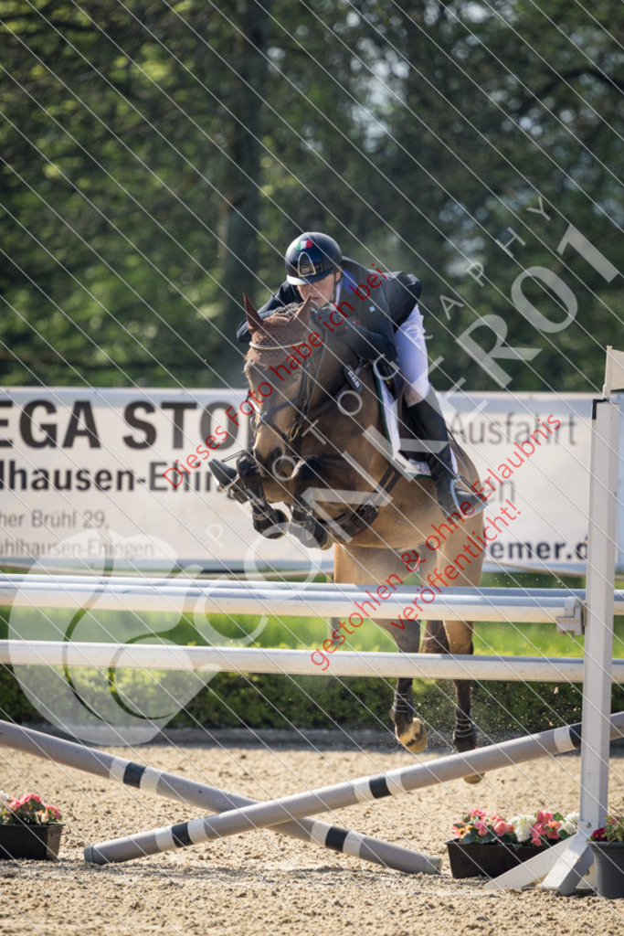 CON_0243 | Sport-, Event- und Tierfotos in Profiqualität. Einfach auswählen, bestellen und herunterladen. Dein Moment – perfekt festgehalten.