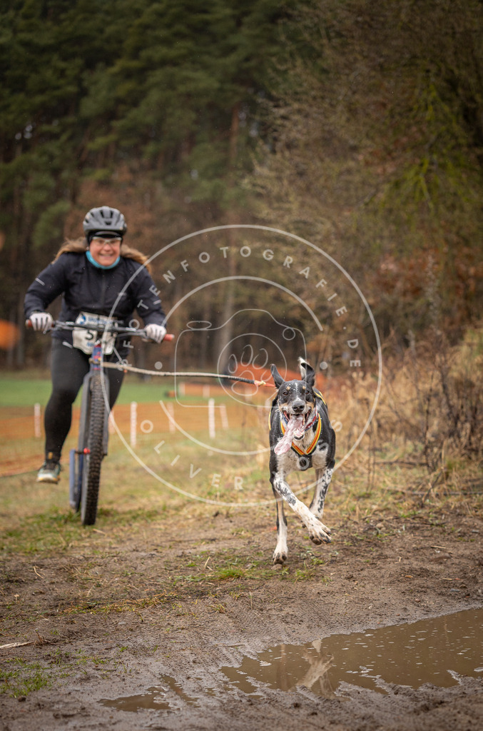 DV3A9437 | Hundefotografie, Tierfotograf, Pfotenfotografie, Fotoshooting Hund, Hunde Portrait, Hundesport, Hundeportraits, Heideshooting, Hunde, Sportfotograf, Hundefotograf, Turnierhundsport, THS,  - Realisiert mit Pictrs.com