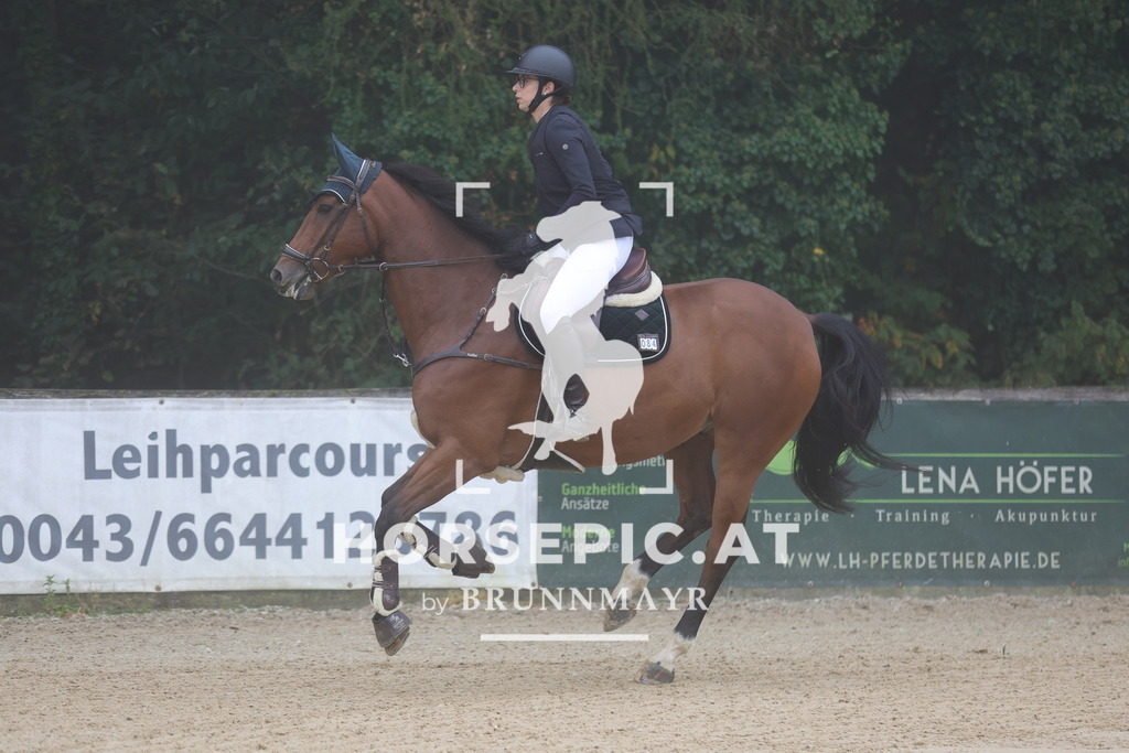 0P6A0322 | Willkommen bei Brunnmayr - Design & Fotografie – Ihrem Spezialisten für Reitturniere und Pferdeveranstaltungen in Oberösterreich, Salzburg und Bayern! Seit über 17 Jahren sind wir leidenschaftlich dabei.