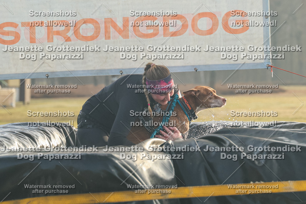 Dog Paparazzi - SD North Sa 830-900-47 | Dog Paparazzi Jeanette Grottendiek Fotografie & Videografie - Realisiert mit Pictrs.com