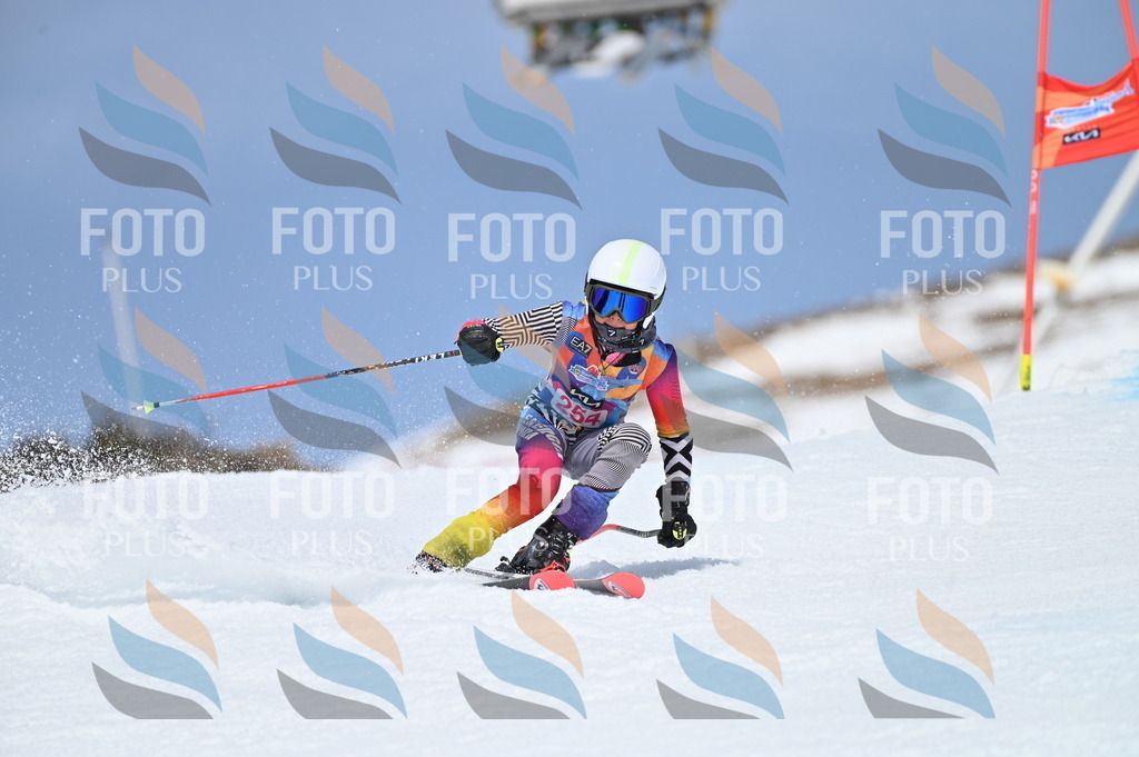 BGV_1958 | holidayphoto