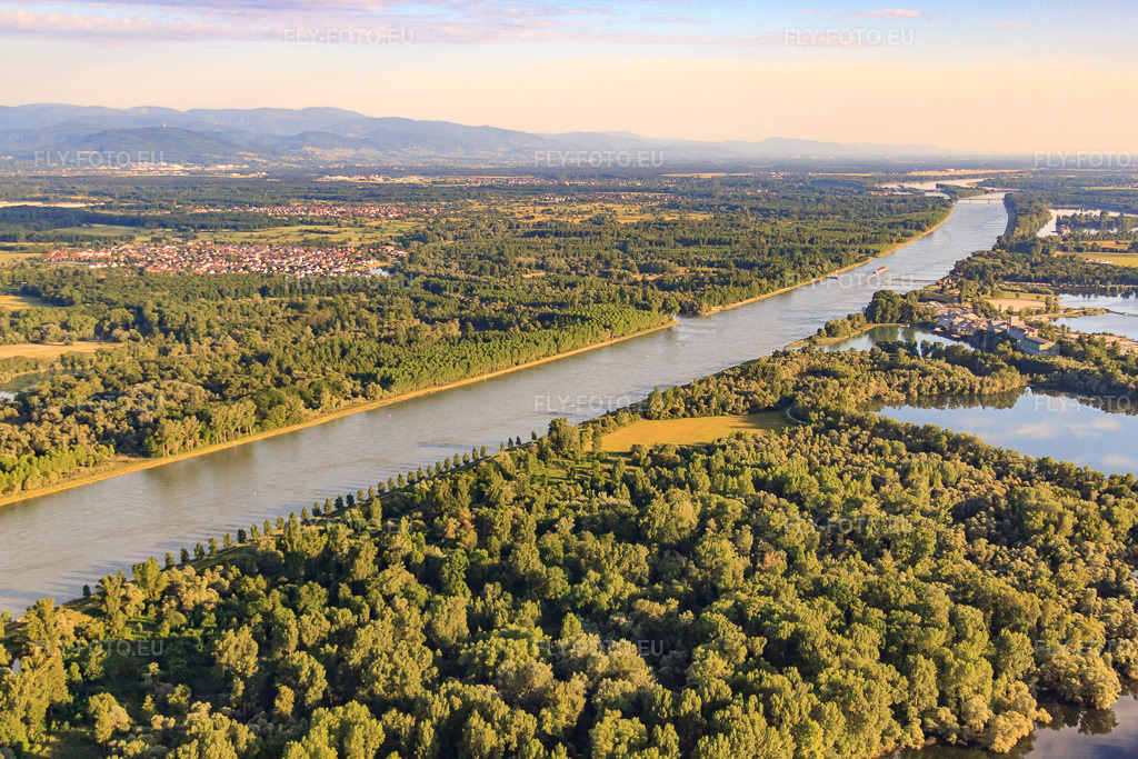 Vue aérienne: Réserve naturelle du delta de la Sauer sur le Rhin à Munchhausen dans le département Bas Rhin, France – .Photo: IMG_58003.jpg prise le 16/06/2013 par Werner Riehm/FLY-FOTO.eu – Résolution de l'original: 4752 x 3168 px