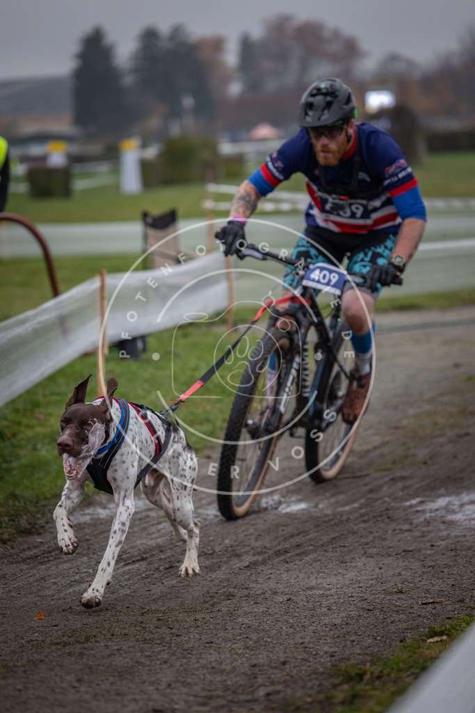 CaniXpix_0L8A1568 | Hundefotografie, Tierfotograf, Pfotenfotografie, Fotoshooting Hund, Hunde Portrait, Hundesport, Hundeportraits, Heideshooting, Hunde, Sportfotograf, Hundefotograf, Turnierhundsport, THS,  - Realisiert mit Pictrs.com