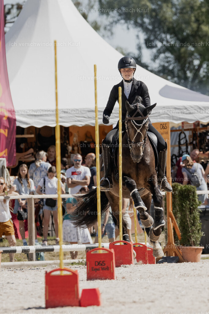 WE_SP_Stoib_309_PI2025_1482 | Pferd International München 2025