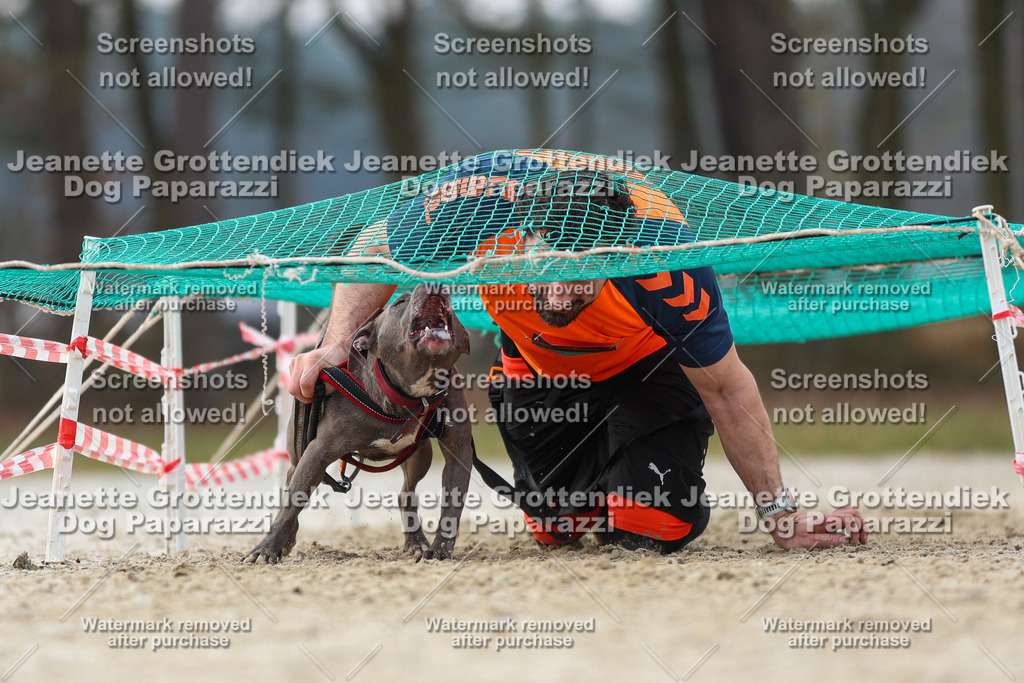 Dog Paparazzi - Strongdog North Mrz26-4447 | Dog Paparazzi Jeanette Grottendiek Fotografie & Videografie - Realisiert mit Pictrs.com
