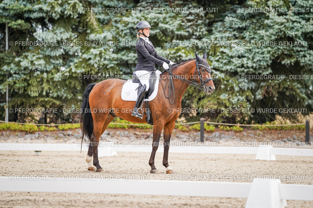 DSC02580 | Pferdegrafie