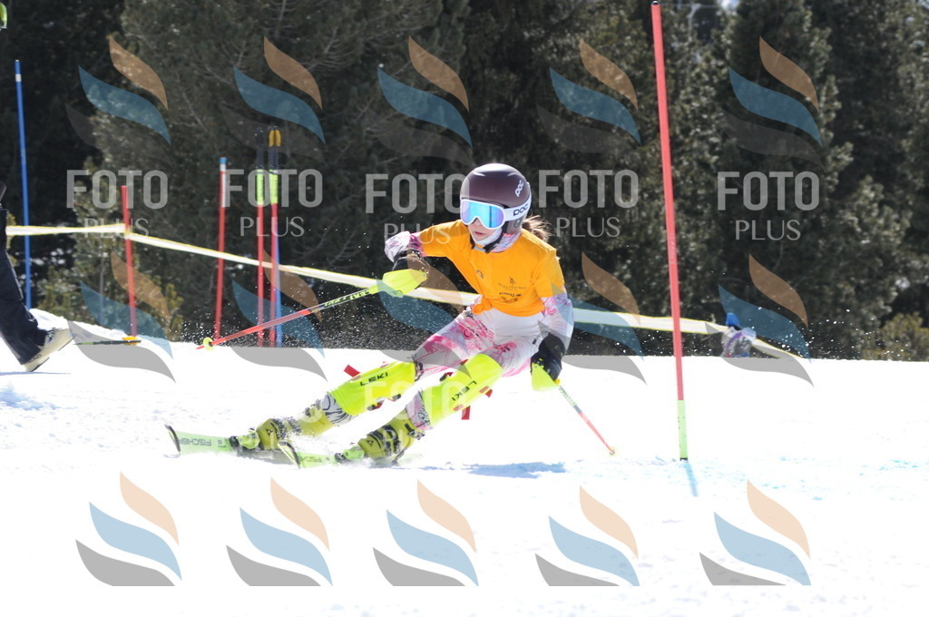 C9221 | holidayphoto