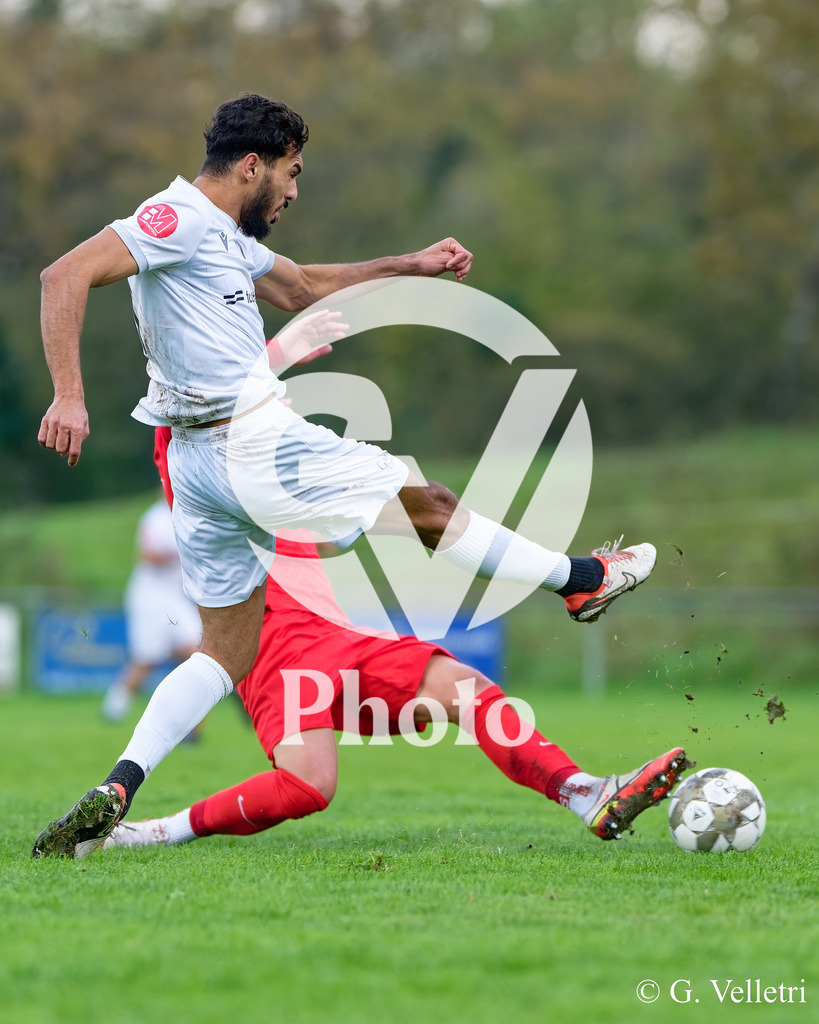 DZ8_9541 | Velletri Photo