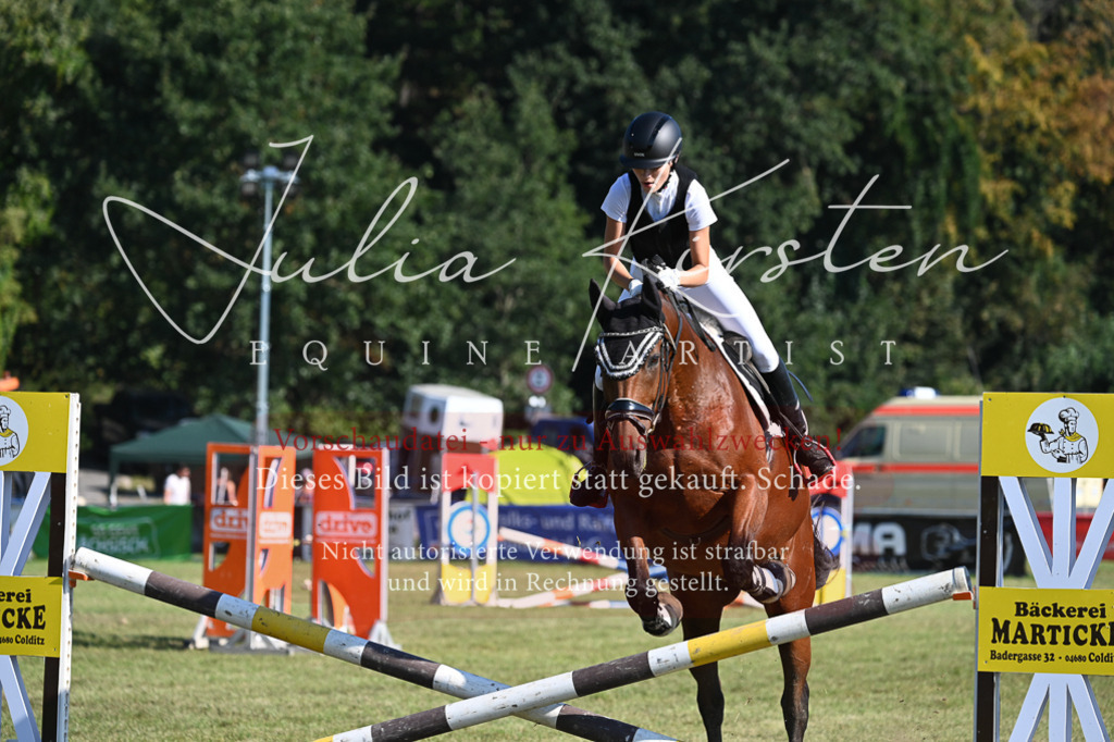 DSC_5284 | Pferde- und Turnierfotografie in Westsachsen. Pferdeportraits, Auftragszeichnungen und intuitive Kunst.