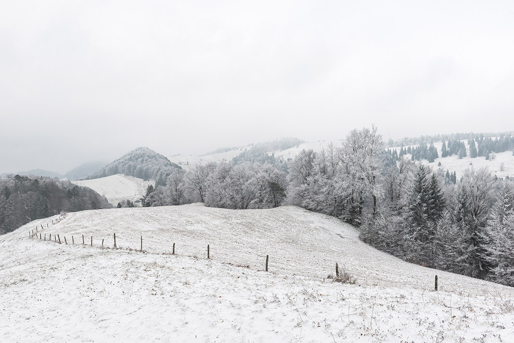 Verschneite Landschaft | im Winter. - Realisiert mit Pictrs.com