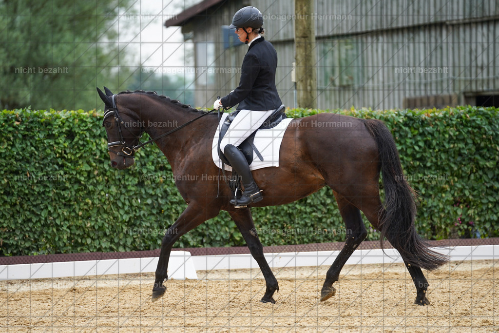 20240630-FAH00888 | Turnierbilder Schwabmünchen, Dressurbilder, Springreitturnier, Reitsportbilder, Turnierfotografen Bayern, Turnierfotograf