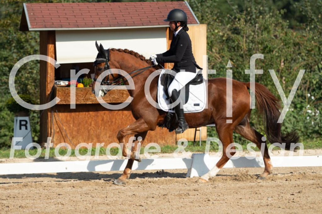 IMG_0748 | Creatify Fotografie