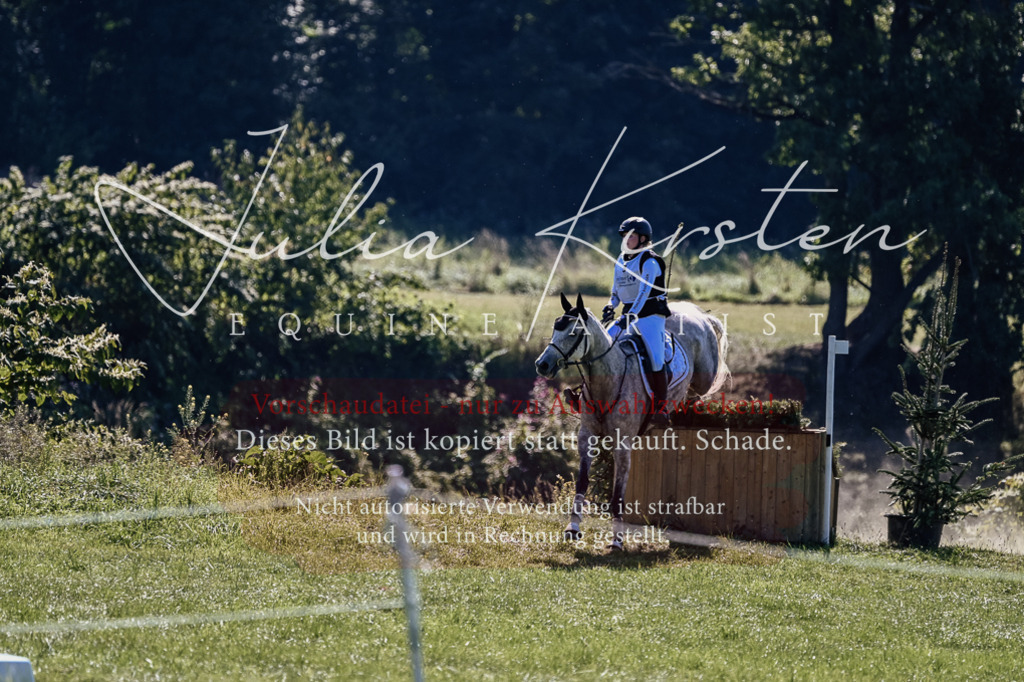 DSC_1378 | Pferde- und Turnierfotografie in Westsachsen. Pferdeportraits, Auftragszeichnungen und intuitive Kunst.