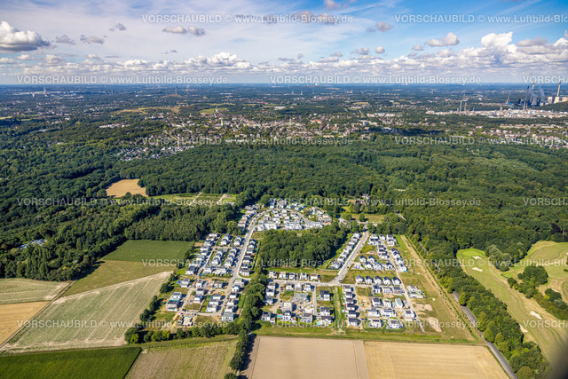 Gelsenkirchen220801746Buer | Luftbild, Neubau Siedlung Westerholt, Am Buerschen Waldbogen, Resse, Gelsenkirchen, Ruhrgebiet, Nordrhein-Westfalen, Deutschland