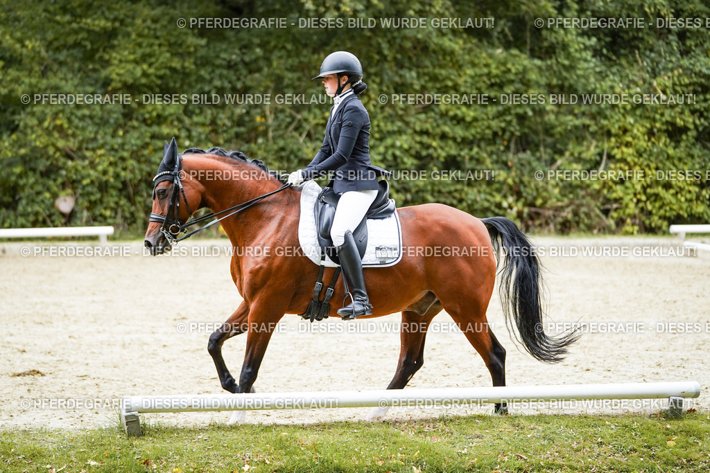 DSC01823 | Pferdegrafie