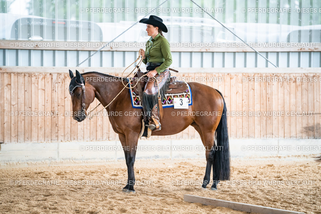 DSC02825 | Pferdegrafie