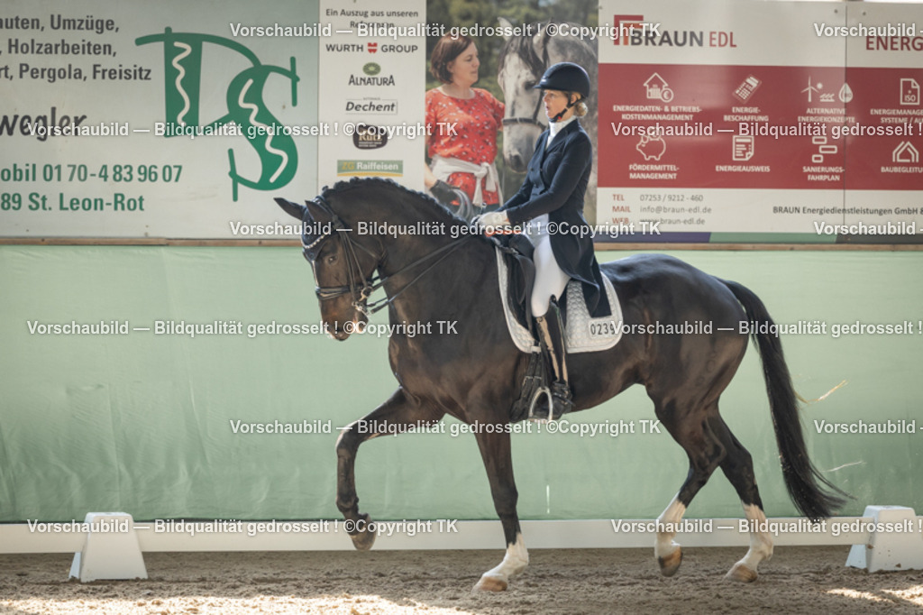 _D5A1621 | Emotionale Pferde- & People-Fotografie rund um Heidelberg, Leimen & Umgebung. Natürliche Fotos von Pferd, Mensch & Familie. Jetzt Termin sichern!