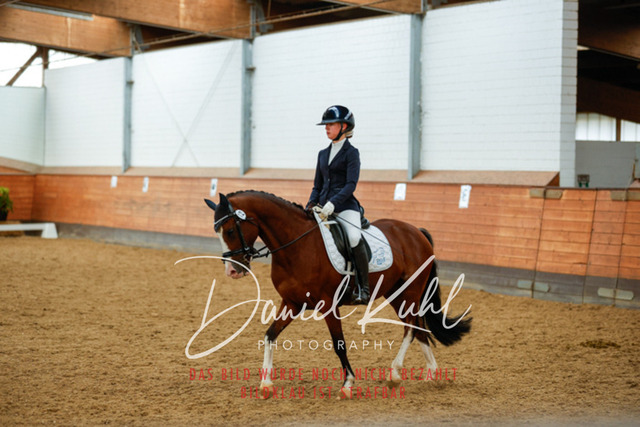 _62_6309 | Turniersportfotografie; Pferdefotografie; Dressurfotografie