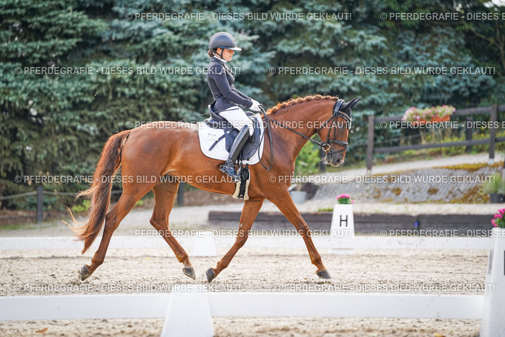 DSC00687 | Pferdegrafie