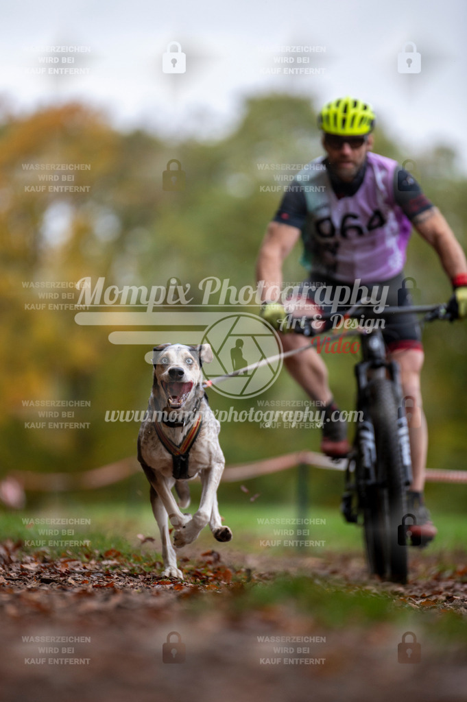 DBT_DAKM_SA_4_11_2023_Bike-71 | PayLife