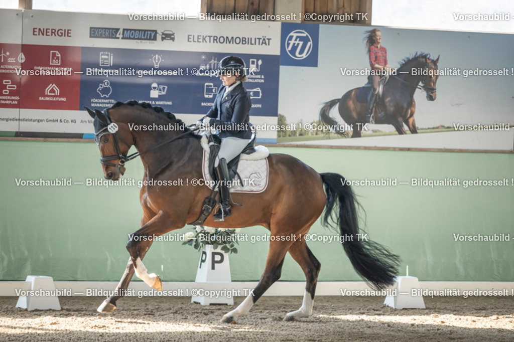 _D5A0794 | Emotionale Pferde- & People-Fotografie rund um Heidelberg, Leimen & Umgebung. Natürliche Fotos von Pferd, Mensch & Familie. Jetzt Termin sichern!