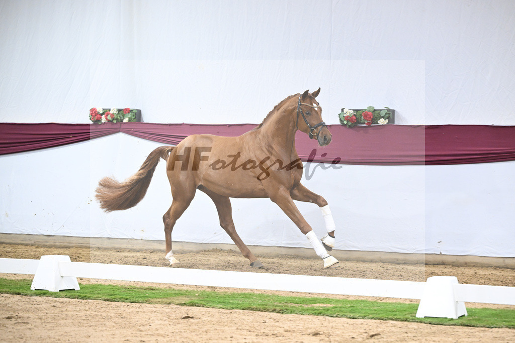 Kat-Nr. 133 Von Und Zu x Locksley III_Sabine Lehner_47254520 | hf-fotografie - Realisiert mit Pictrs.com