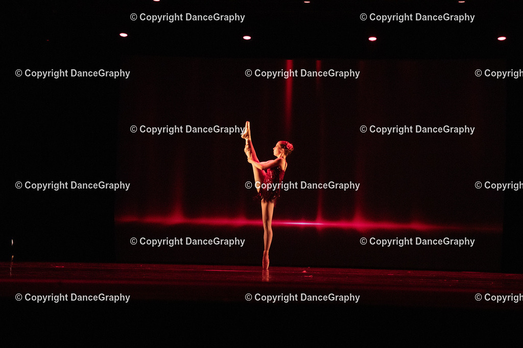 GPHY6778 | DanceGraphy - Realisiert mit Pictrs.com