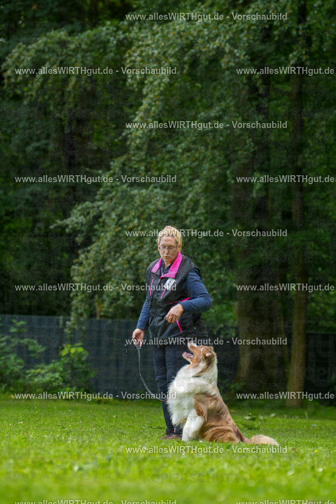 @allesWIRTHgut_Tierfotografie - www.allesWIRTHgut.de - 7R501224 | Professionelle Tierfotografie in Mönchengladbach von Daniel Wirth (allesWIRTHgut). Liebevolle & natürliche Bilder von Hunden & Katzen für unvergessliche Erinnerungen.