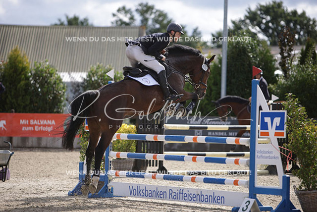 1J2A4351Melvin Henze_ Miss Colman 2_ Kn739_ Havekost | Foto- und Videografie für alles rund ums Pferd. Hochwertige Bilder und Videos vom Spring- und Dressurreiten, Voltigieren & mehr. Jetzt aktuelle Veranstaltungen und Preise im Shop ansehen. - Realisiert mit Pictrs.com