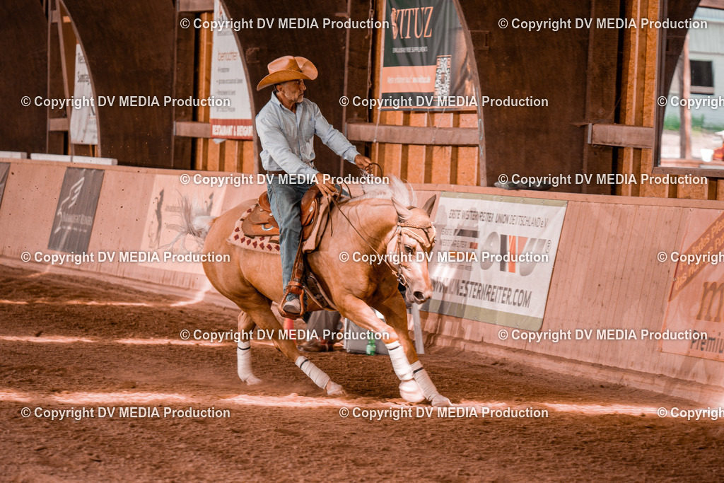 NE300728 | dv-media-shop - Realisiert mit Pictrs.com