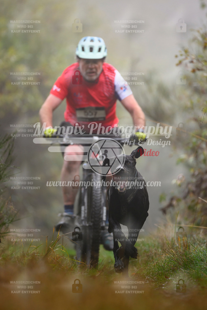 MompixPhotography_20TSB_E4_Bike-137 | PayLife